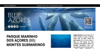 Página da Responsabilidade da Blue Azores