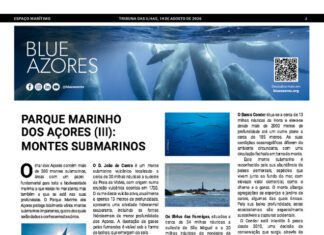 Página da Responsabilidade da Blue Azores