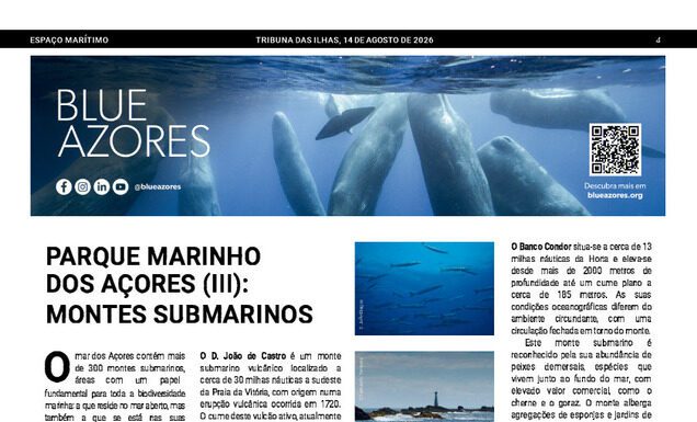 Página da Responsabilidade da Blue Azores