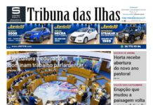 Capa | Edição n.º 1252, 25 de setembro de 2026