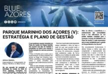 Página da Responsabilidade da Blue Azores