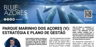 Página da Responsabilidade da Blue Azores