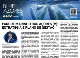 Página da Responsabilidade da Blue Azores