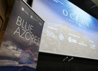 Documentário Ocean no Faial