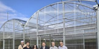 Governo dos Açores investe 320 mil euros em estufas para apoiar polinizadores