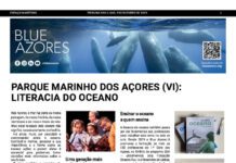 Página da Responsabilidade da Blue Azores