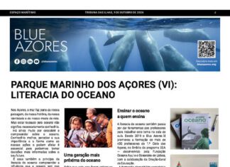 Página da Responsabilidade da Blue Azores